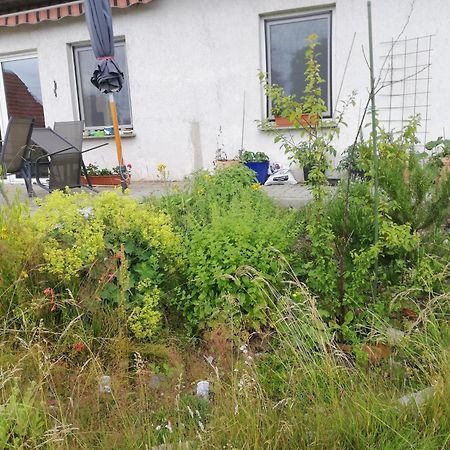 Ferienwohnung Wittenburg Eksteriør billede
