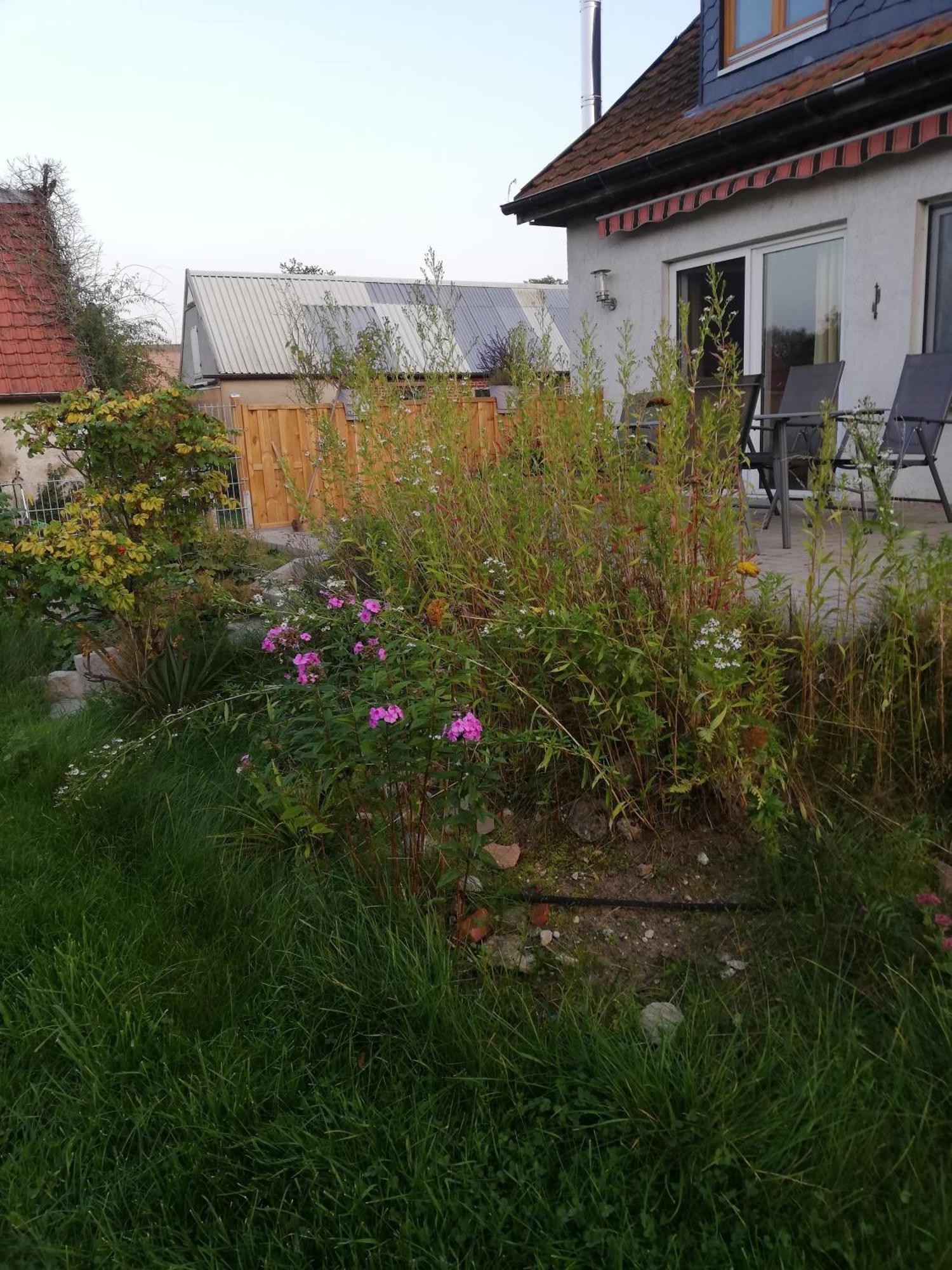 Ferienwohnung Wittenburg Eksteriør billede